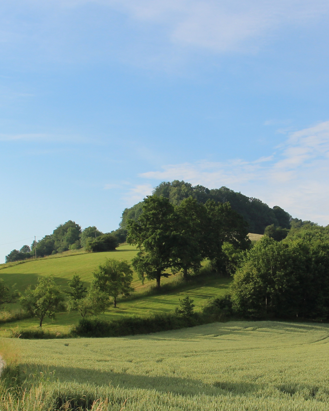 Neudeck, Schwaibach